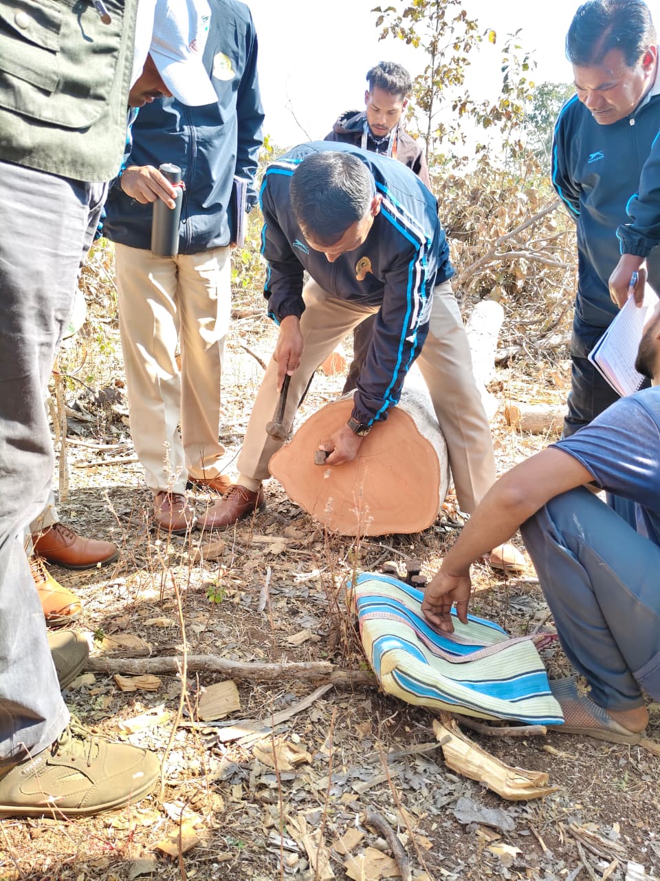 लेखापाल/लिपिक/वनपाल यांचे पायाभूत प्रशिक्षण क्षेत्रीय दौरा जारीदा परीक्षेत्रातील खारी कुप (TPWC) कुपातील  कामाची प्रत्यक्ष पाहणी व अभ्यास
