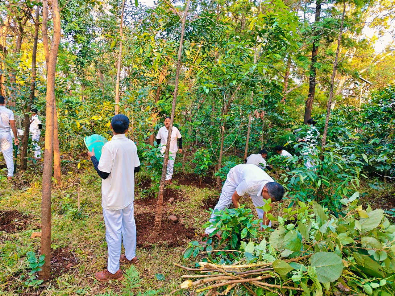 सत्र क्र. ६३ क्षेत्रीय कामे