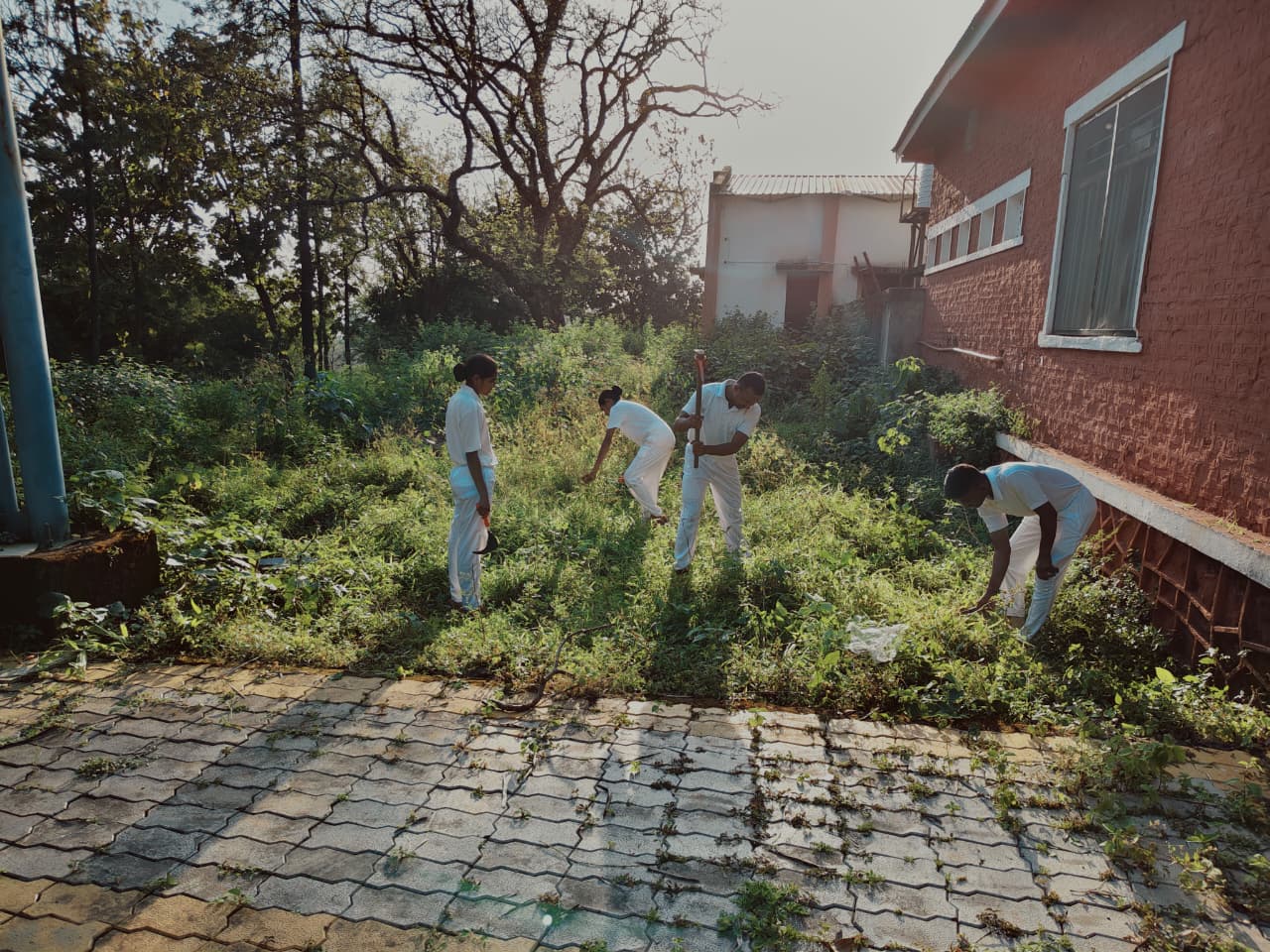 सत्र क्र. ६३ क्षेत्रीय कामे