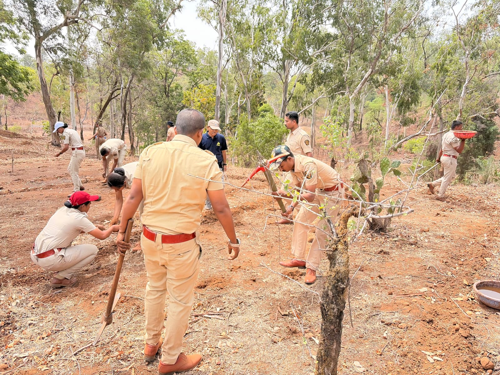 क्षेत्रीय अभ्यास दौरा