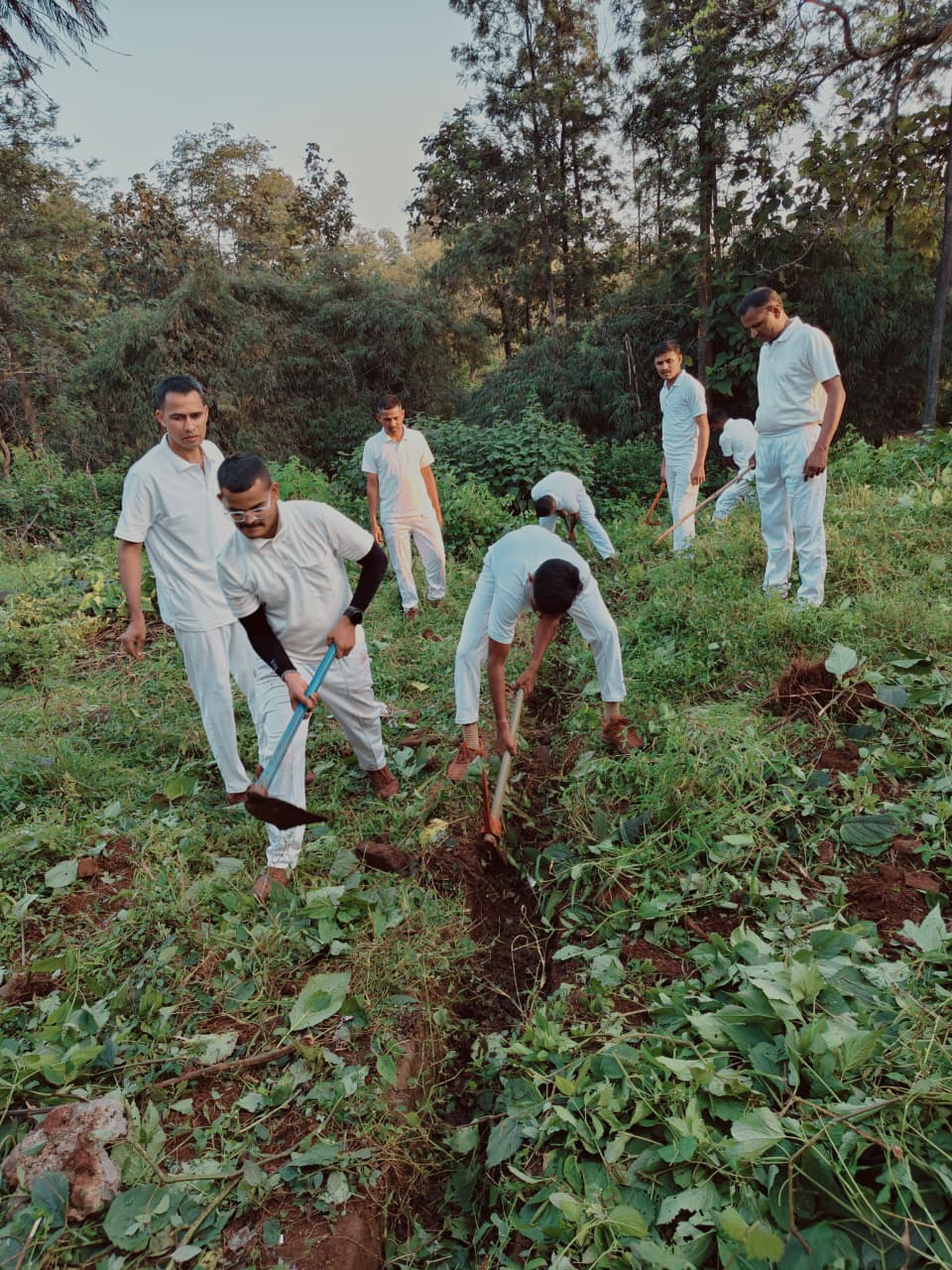 सत्र क्र. ६३ क्षेत्रीय कामे