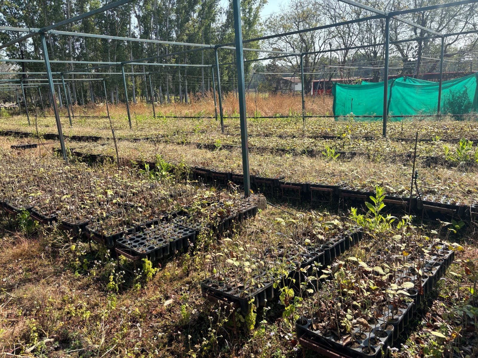 विदर्भ अभ्यास दौरा सत्र क्र. 63