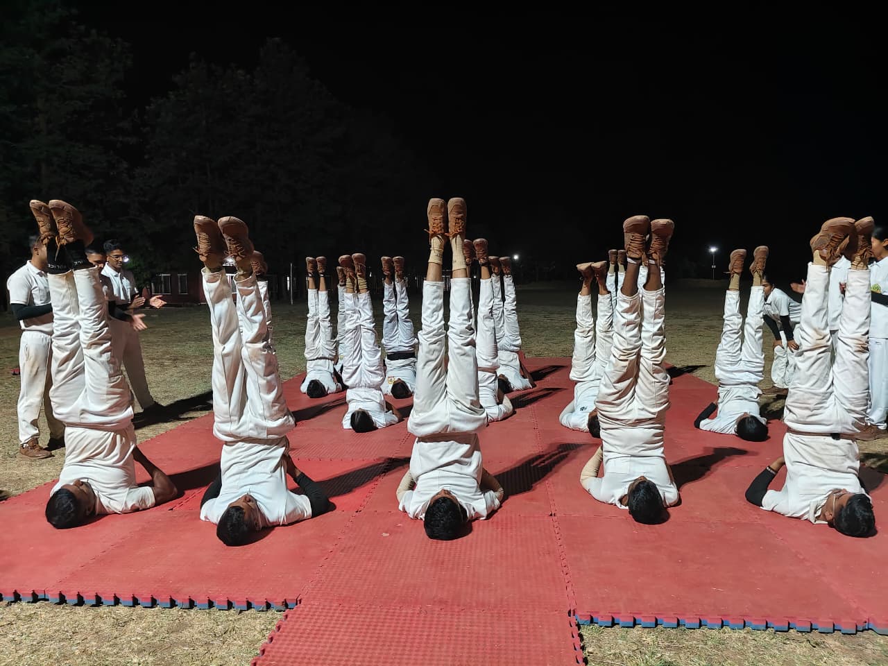 सर्वांगासन - योगा